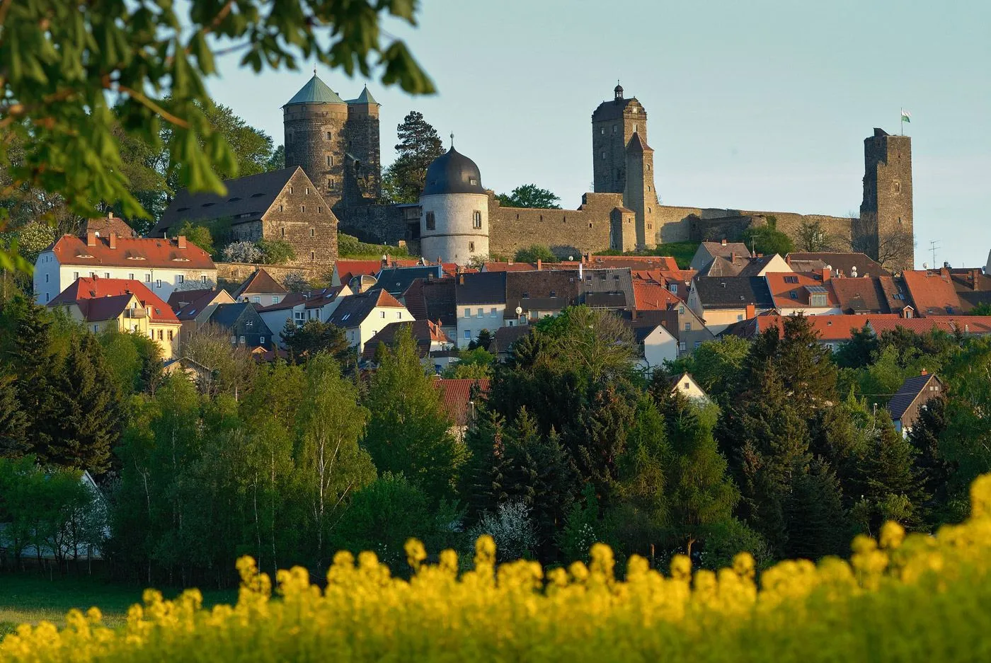 Burg Stolpen auf dem Basaltberg über einem blühenden Rapsfeld